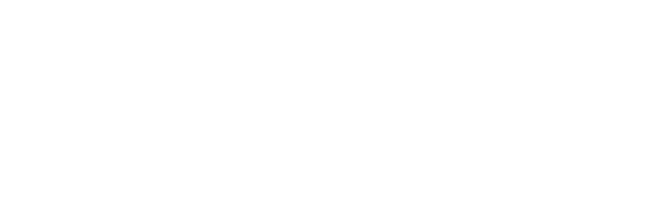 Ronnie-Logo-White